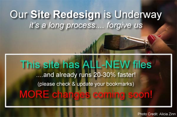 Site Redesign Underway